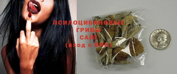 соль ск Дмитров