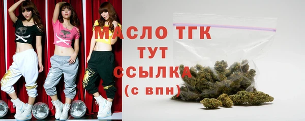 соль ск Дмитров