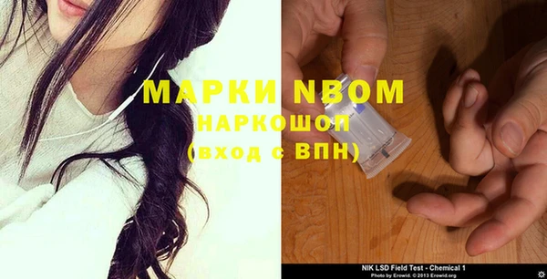 соль ск Дмитров