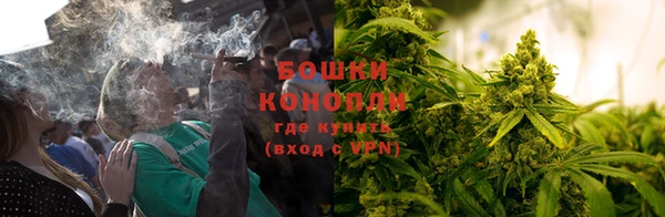 соль ск Дмитров