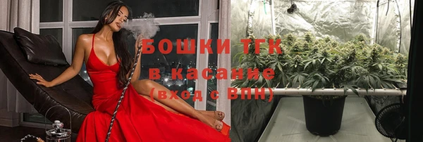 соль ск Дмитров