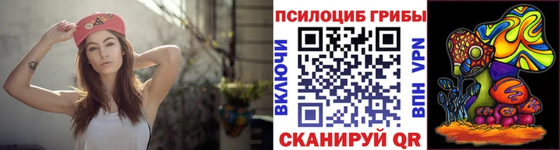 KRAKEN вход  Кадников  Псилоцибиновые грибы мицелий 
